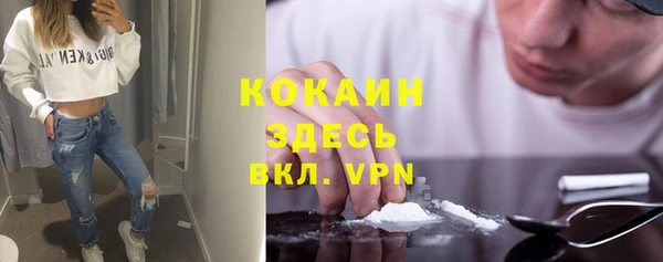мет Инсар