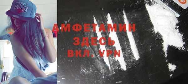 мет Инсар