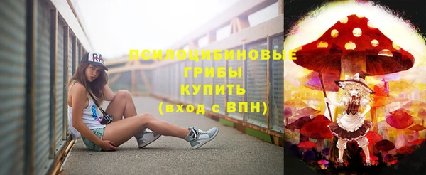 мет Инсар