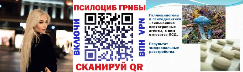 Купить закладки  Коряжма  Галлюциногенные грибы Psilocybe 